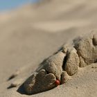 Sandberge oder Berge aus Sand - dem Käfer ist das egal ;-)