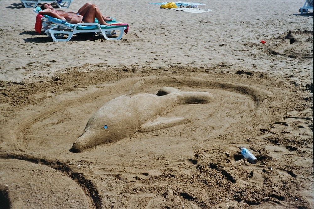 sanddelphin