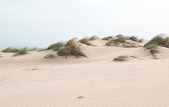 Sanddüne