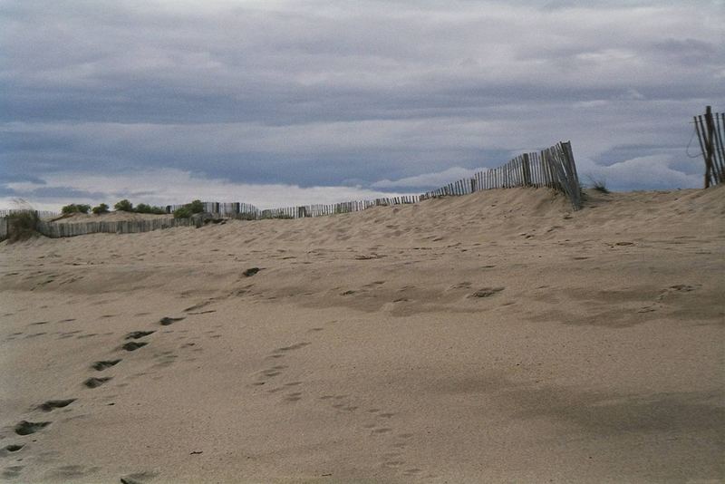 Sanddüne am Meer