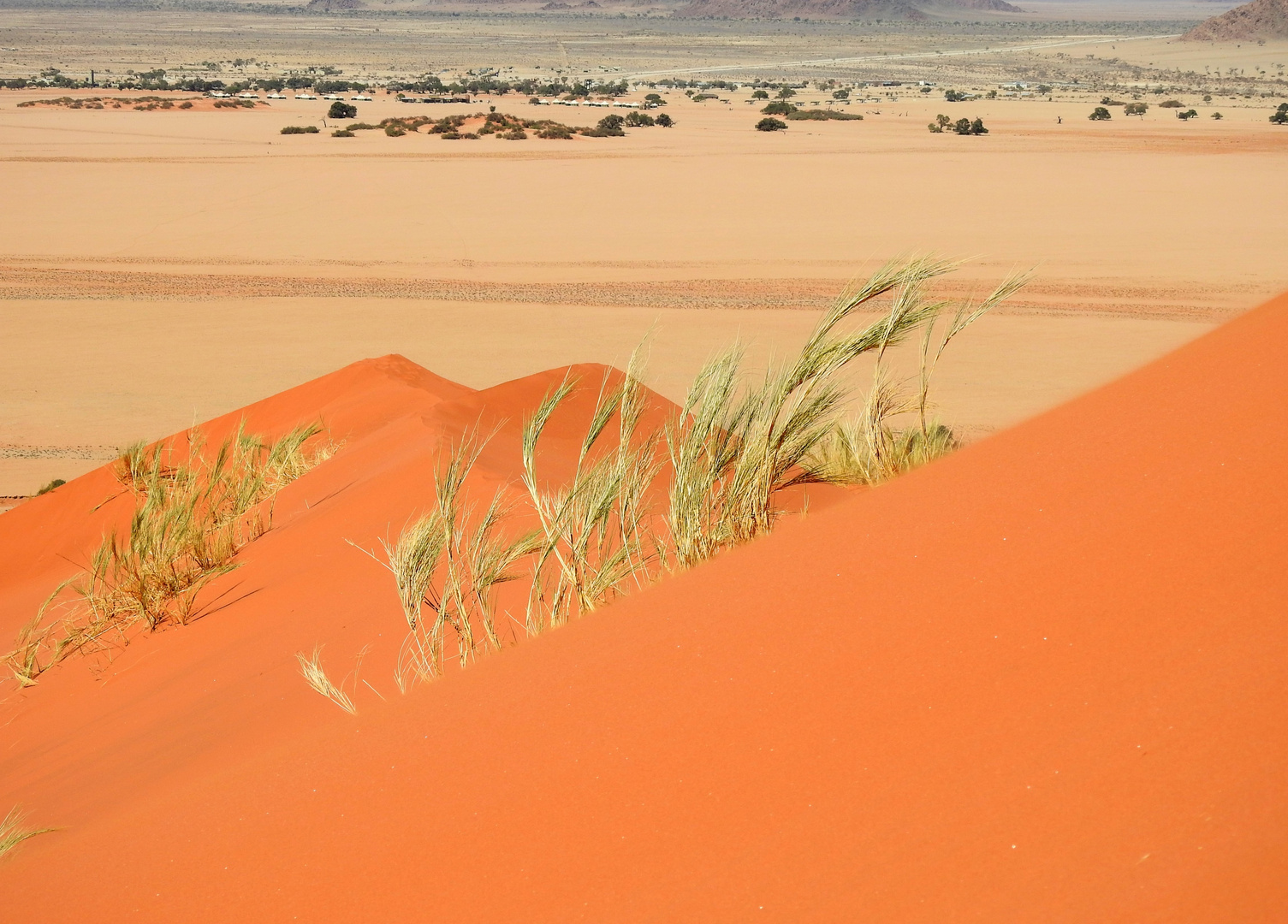 Sanddüne am Sossusvlei in Namibia