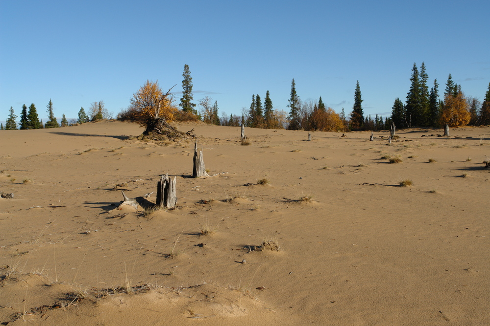 Sanddüne am weissen Meeer