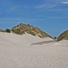 Sanddüne auf der Insel Amrum