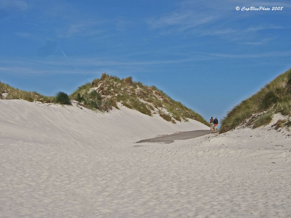 Sanddüne auf der Insel Amrum