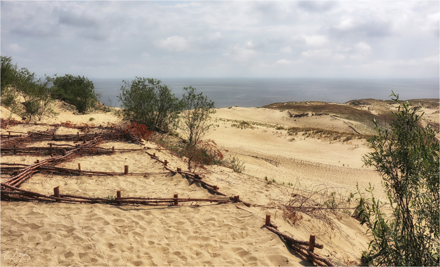 Sanddüne auf der Kuhrischen Nehrung