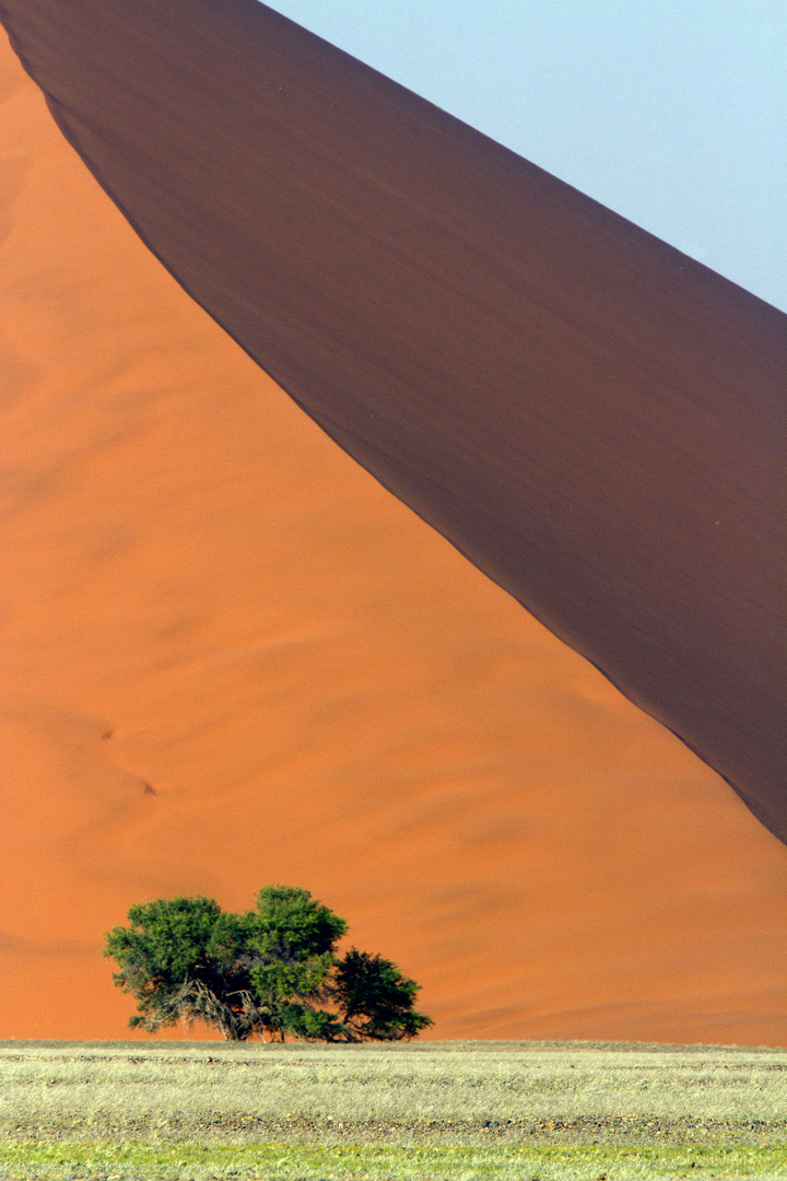 Sanddüne