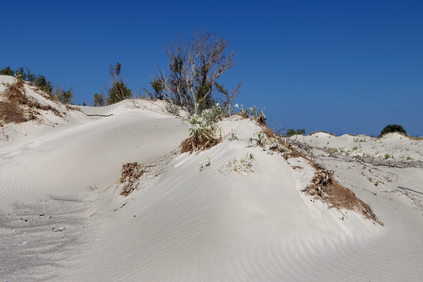 Sanddüne