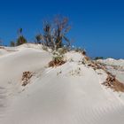 Sanddüne