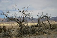 Sanddüne im Death valley, Californien