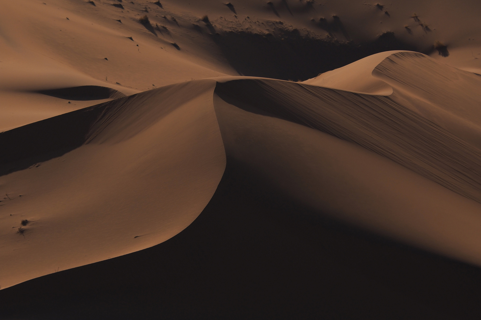 Sanddüne im Morgenlicht in der Wüste Namib