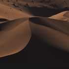 Sanddüne im Morgenlicht in der Wüste Namib