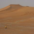 Sanddüne in den UAE