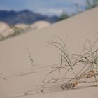 Sanddüne in der Mongolei