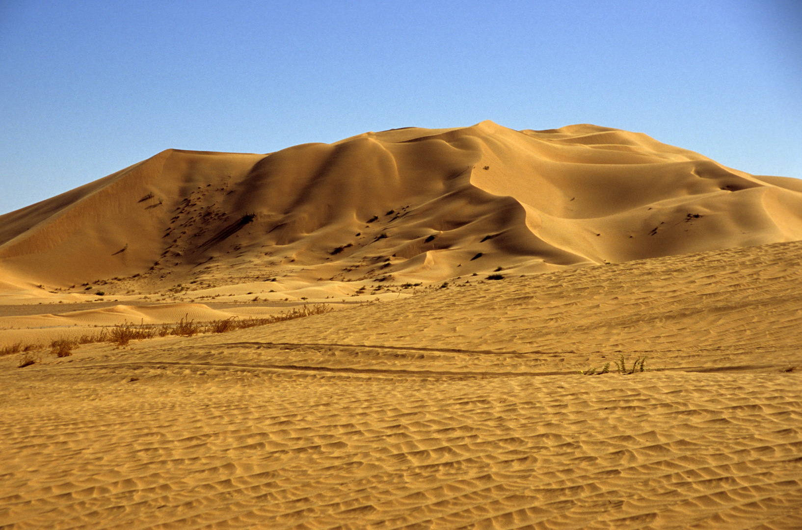 Sanddüne in der Wüste Rub-al-Khali