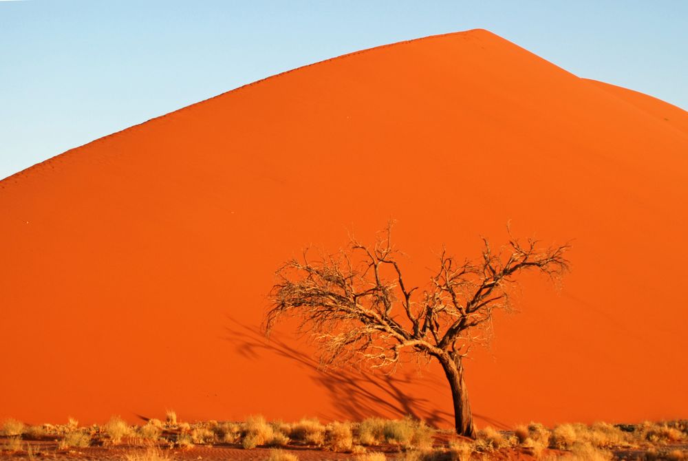 Sanddüne in Sossusvlei