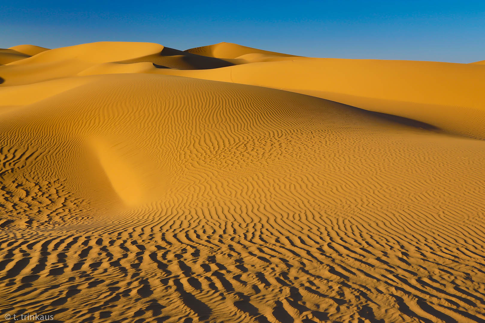 Sanddüne mit Rippeln