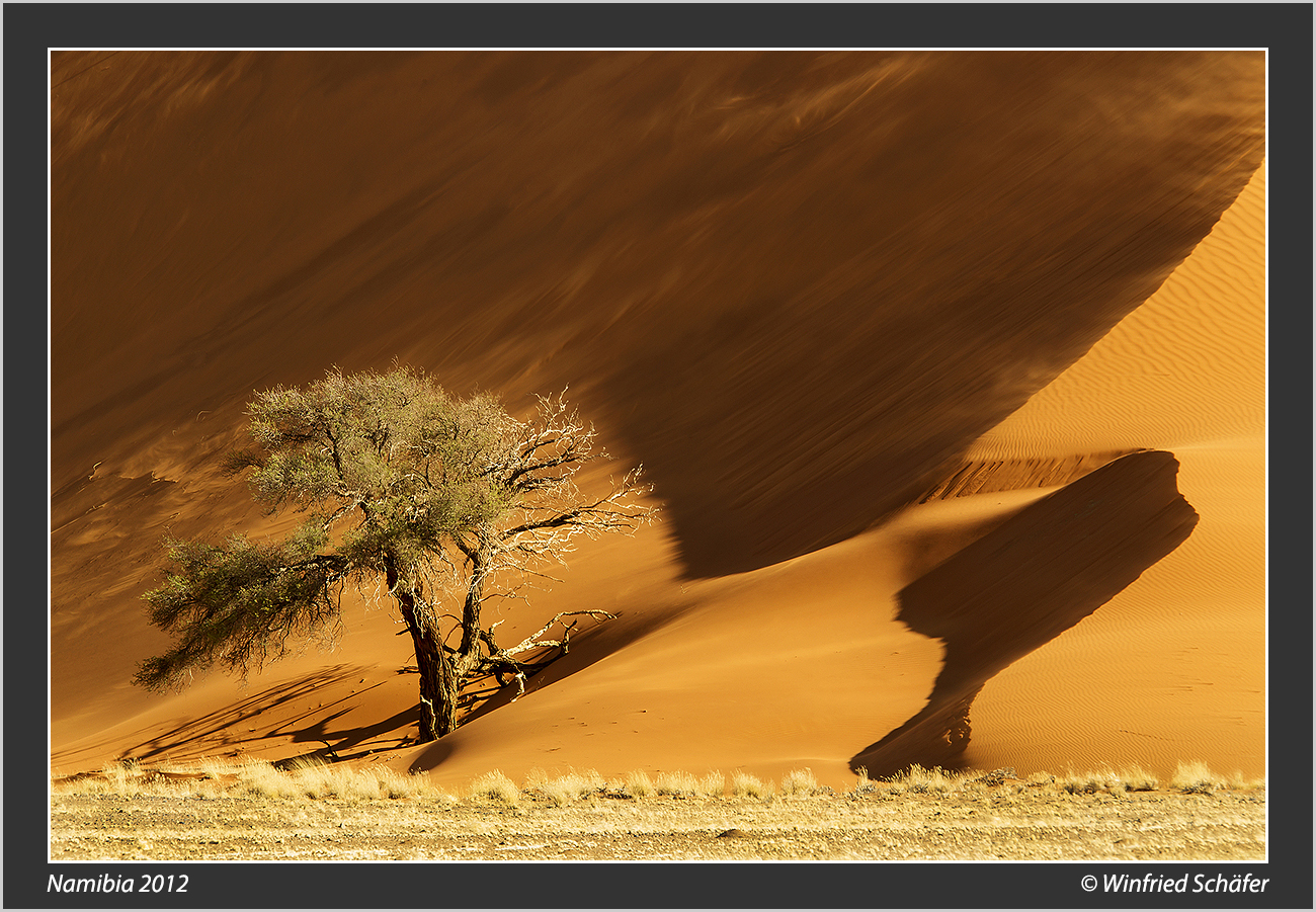 Sanddüne Namibia 1