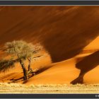 Sanddüne Namibia 1