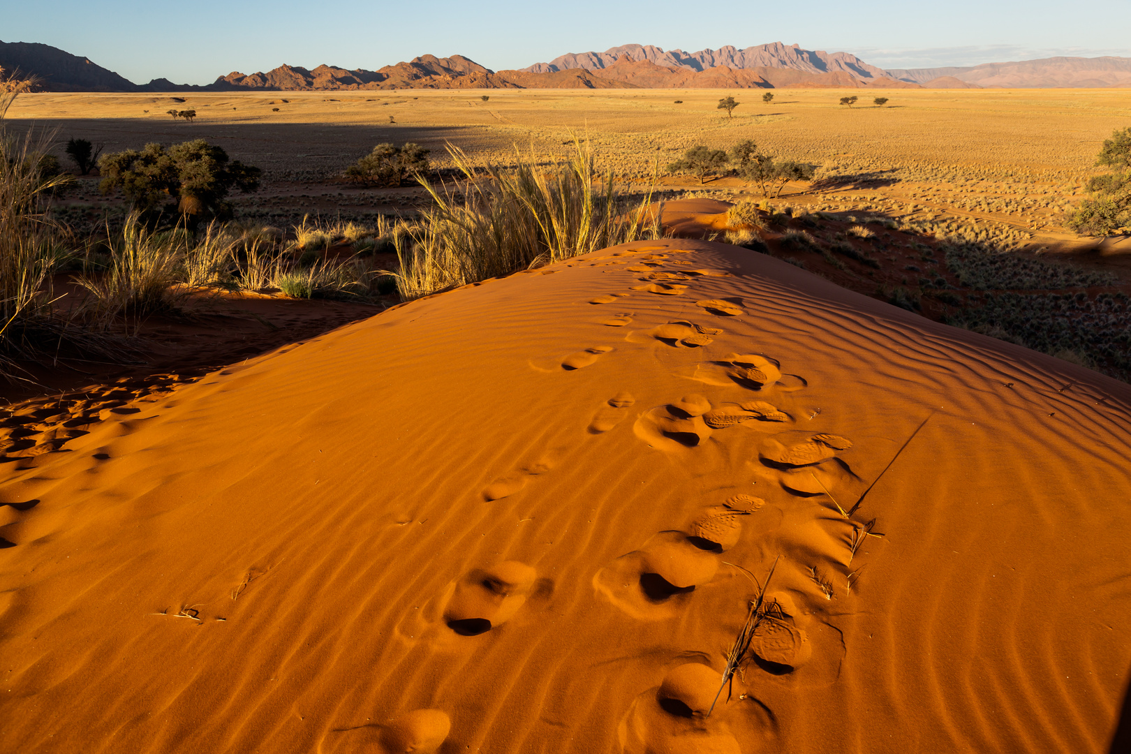 Sanddüne - Namibia