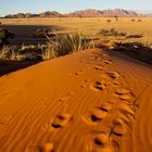 Sanddüne - Namibia