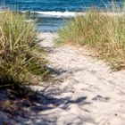 Sanddüne - Strand - Insel Rügen