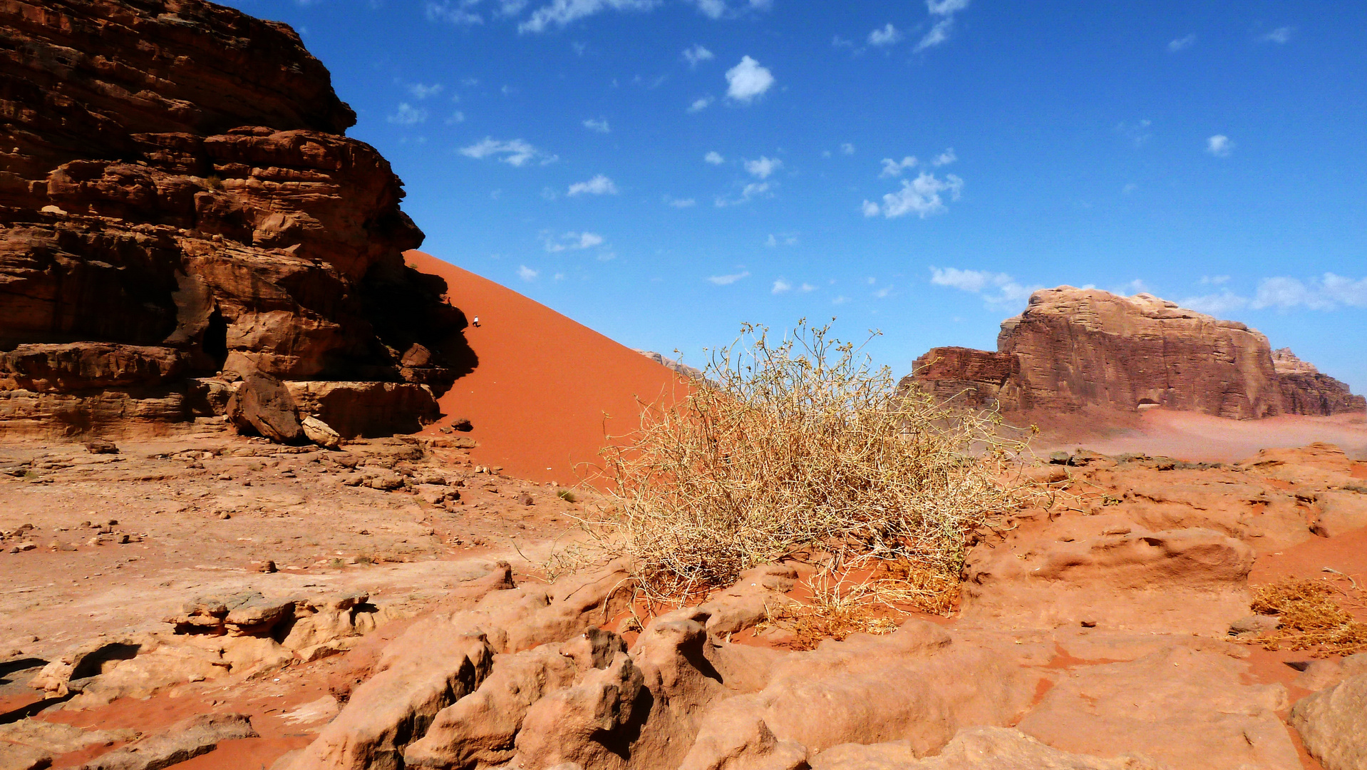 Sanddüne - Wadi Rum