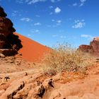 Sanddüne - Wadi Rum