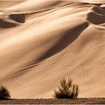 Sanddünen...