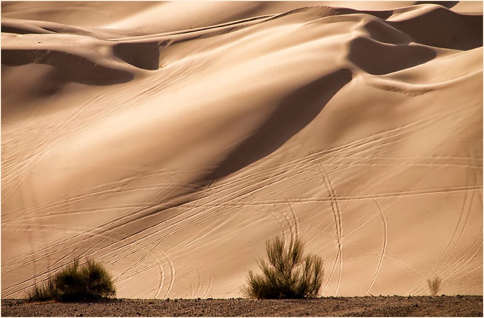 Sanddünen...