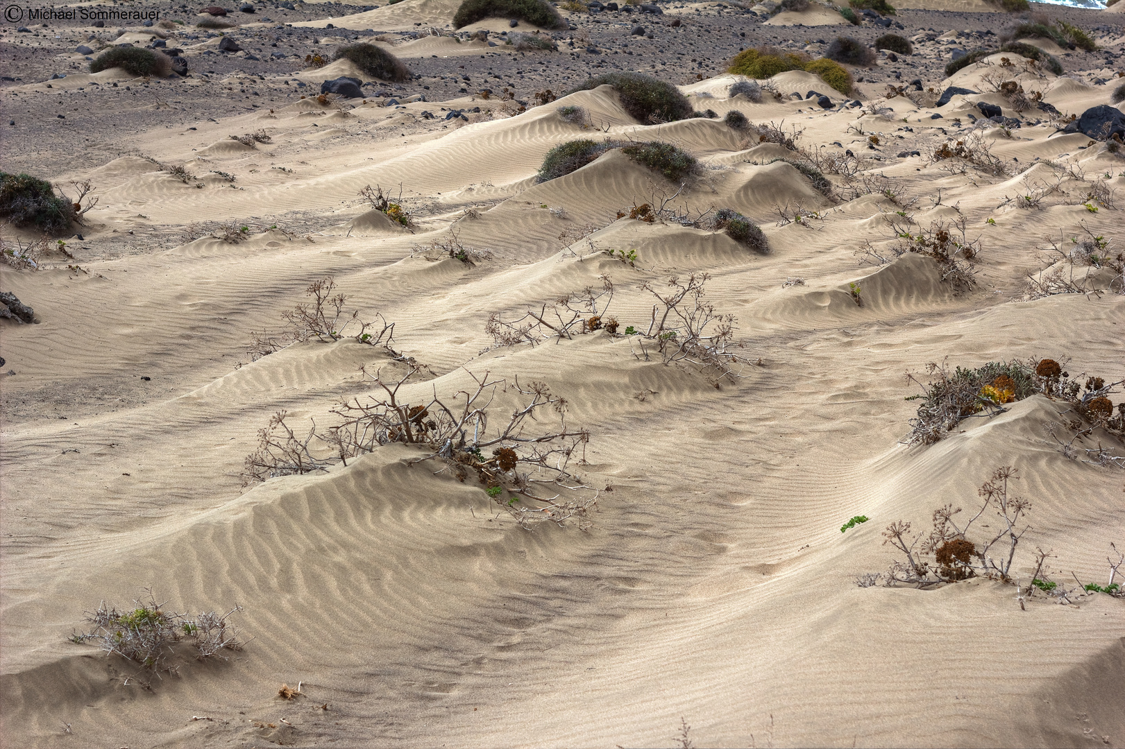 Sanddünen