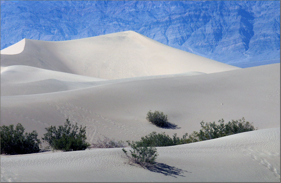 Sanddünen....