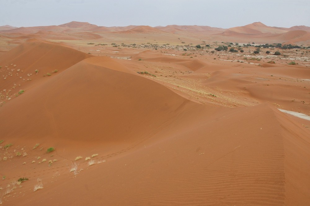 Sanddünen