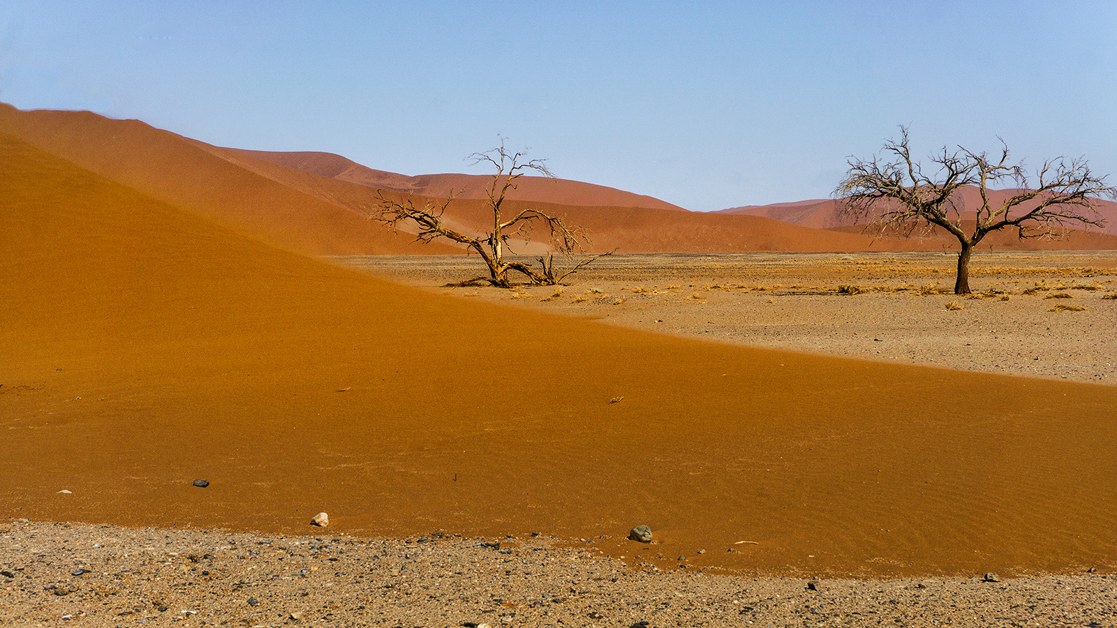 Sanddünen