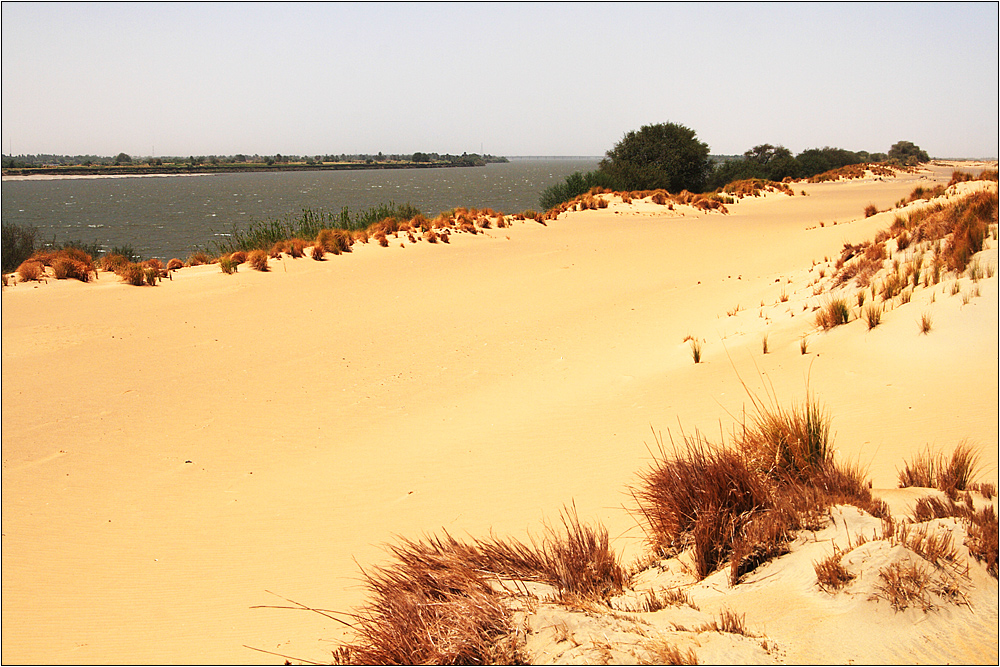 sanddünen am nil