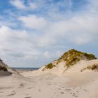 Sanddünen auf Amrum