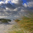 Sanddünen auf dem Deich 