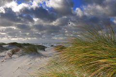 Sanddünen auf dem Deich 