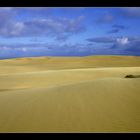 Sanddünen auf Fraser Island 2