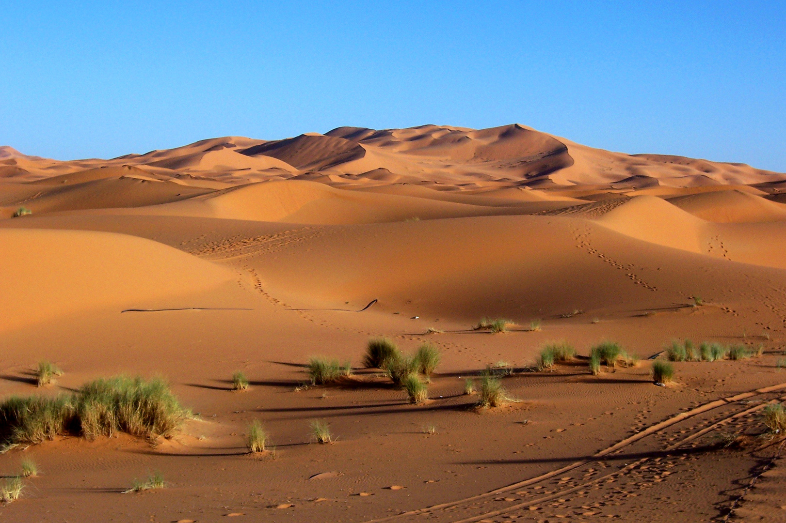 Sanddünen bei Erfoud Marokko