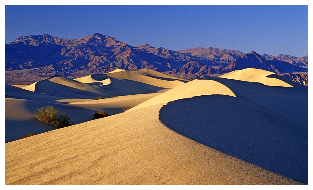 Sanddünen bei Sonnenuntergang II