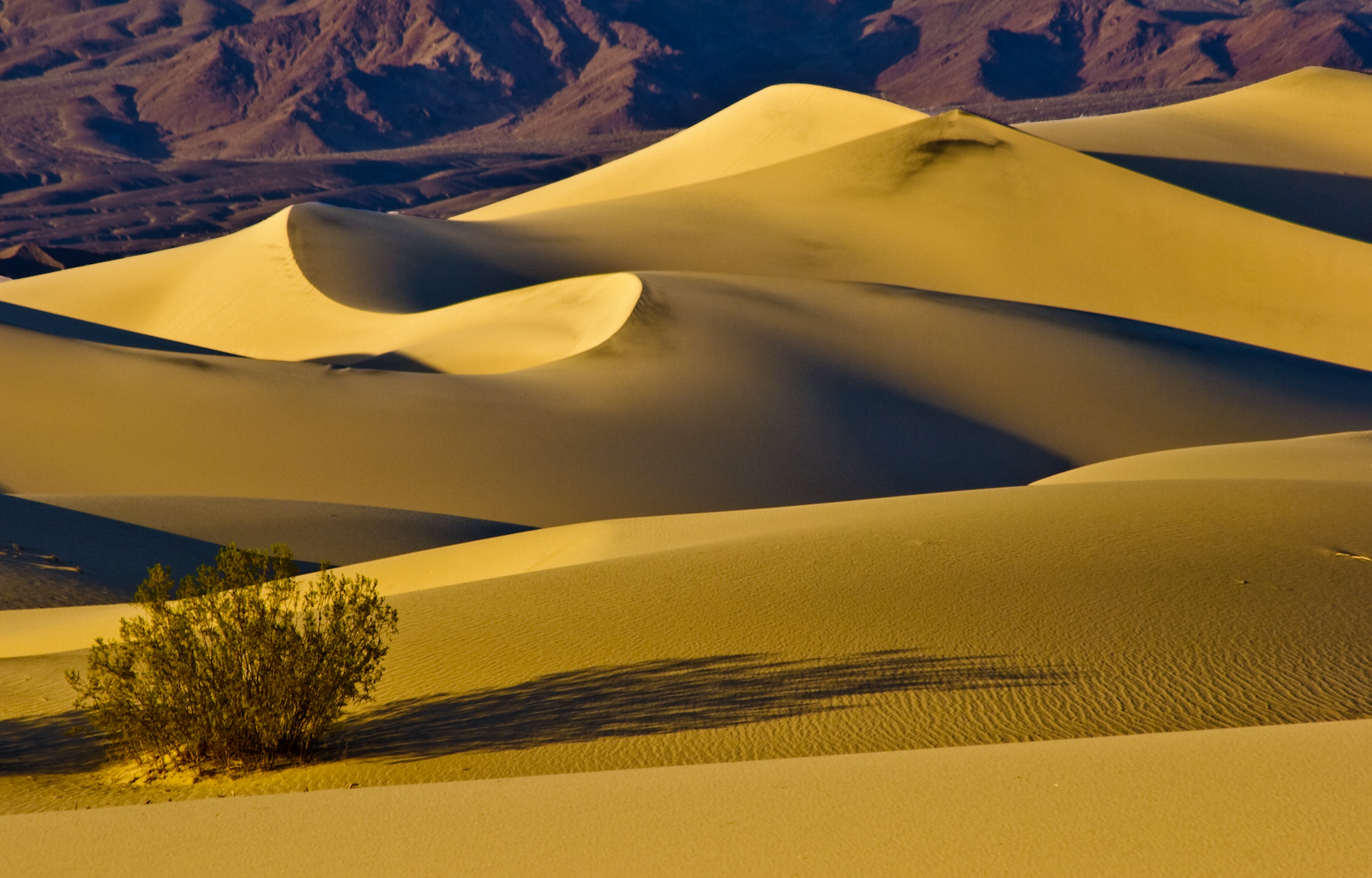 Sanddünen bei Stovepipe Wells