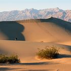 Sanddünen Death valley 2.