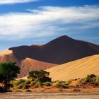 Sanddünen der Namib