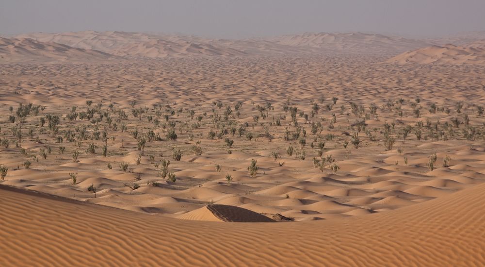 [ … Sanddünen der Rub al Khali ]