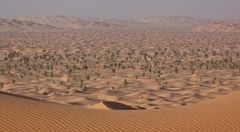 [ … Sanddünen der Rub al Khali ]