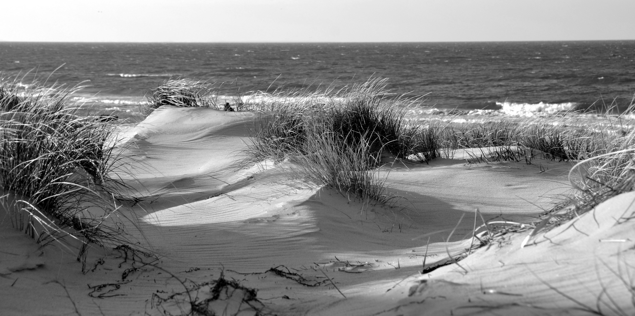 Sanddünen Hiddensee 