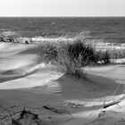 Sanddünen Hiddensee 