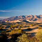 Sanddünen im Death Valley