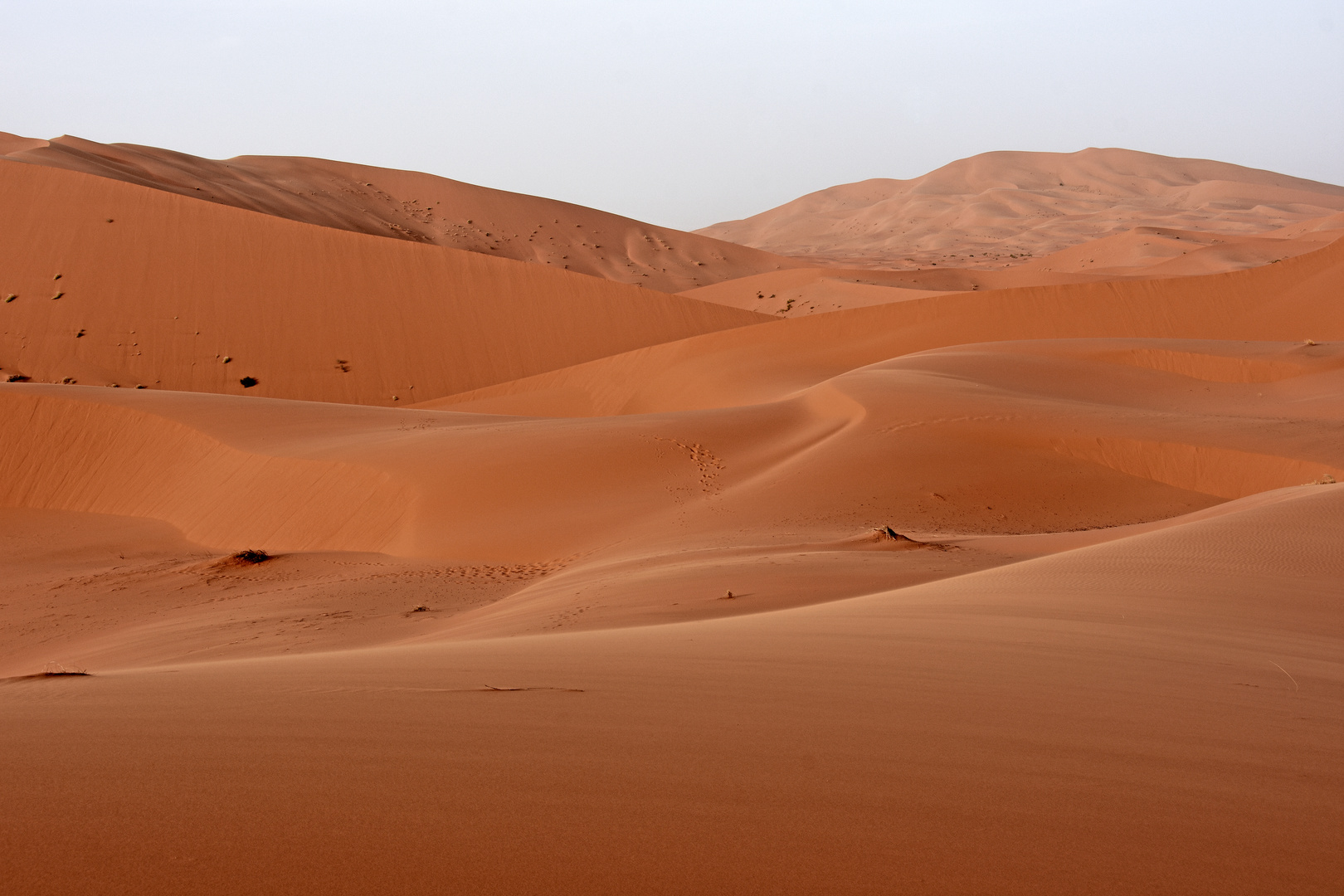 Sanddünen im Erg Chebbi im Süden von Marokko