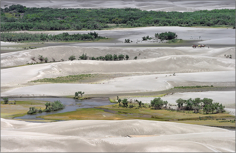 sanddünen im flussbett des shyok